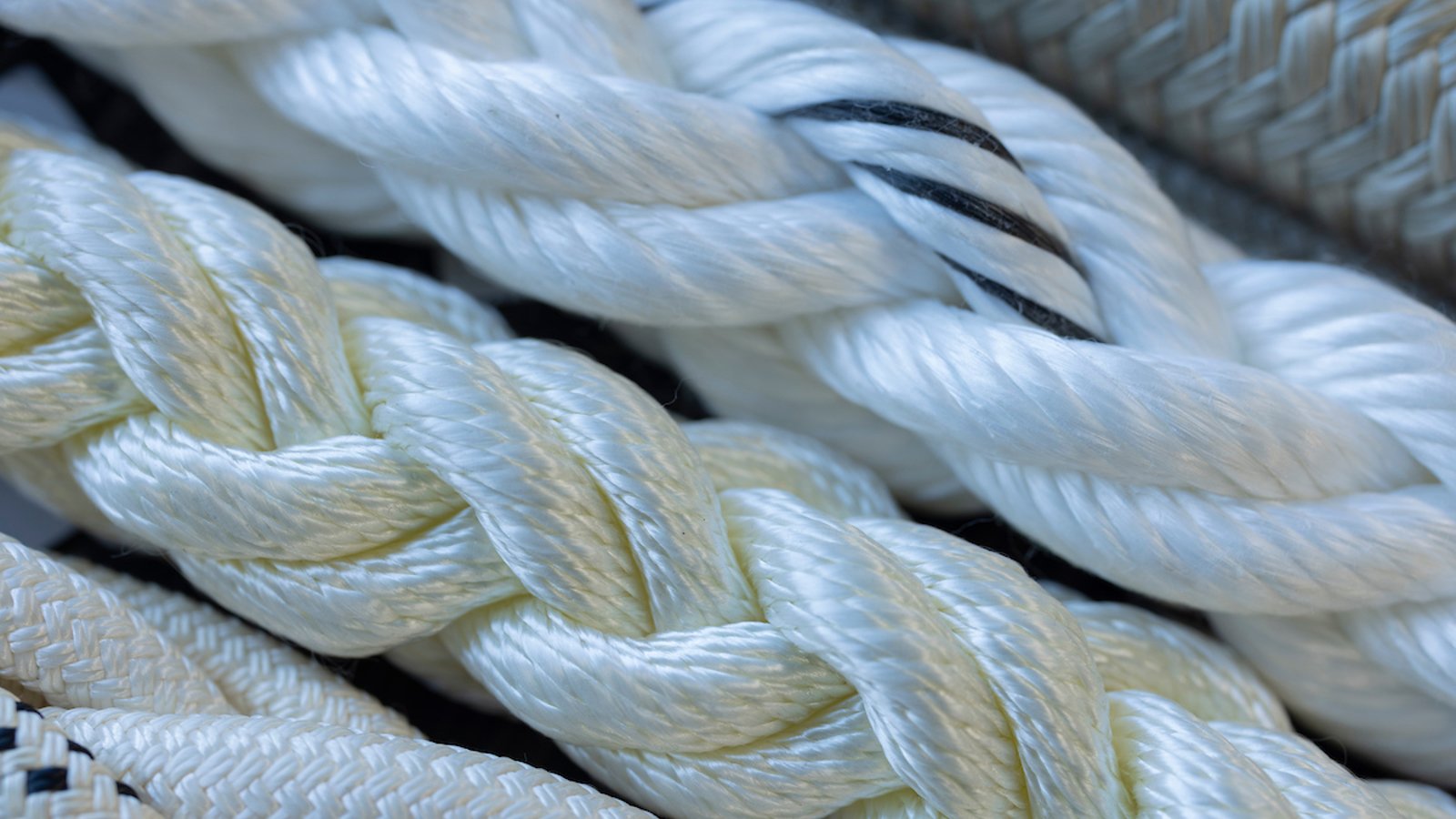ropes top view ropes top view